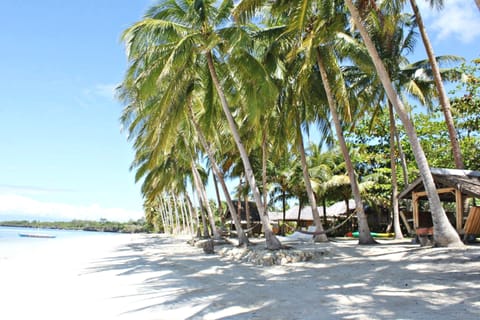 On the beach, scuba diving, kayaking