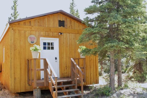 Family Cabin, Multiple Beds, Non Smoking | Individually decorated, individually furnished, blackout drapes