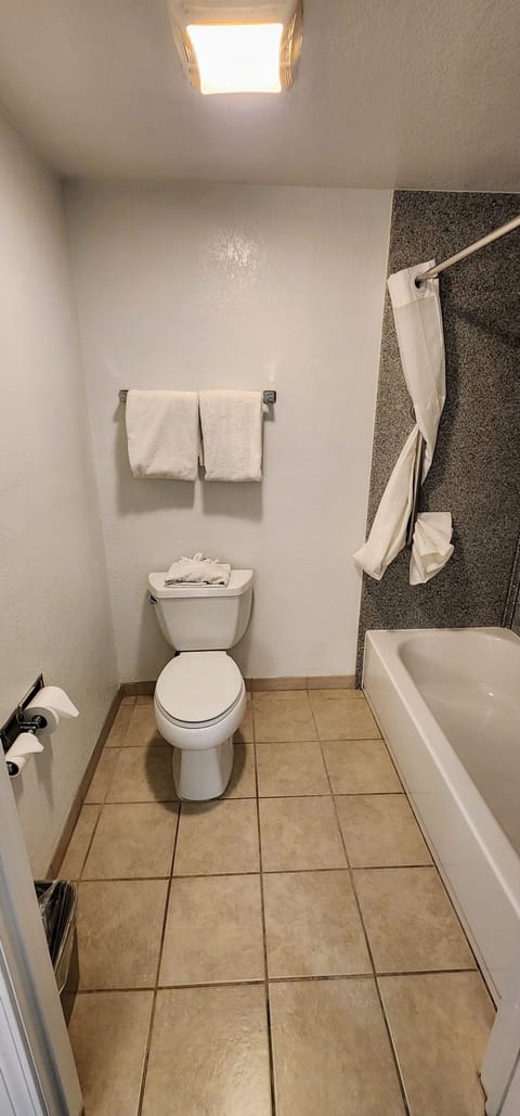 Room, 1 King Bed, Non Smoking | Bathroom | Shower, towels