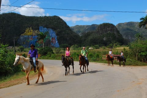 Horseback riding