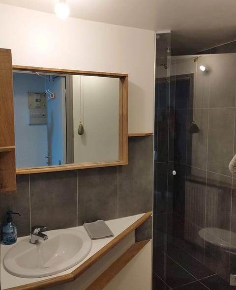 Family Apartment, 1 Double Bed with Sofa bed, Non Smoking, Park View (25-26 Appart 2/4 pers) | Bathroom | Shower, towels