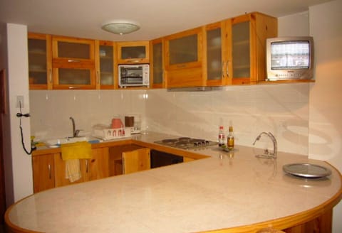 Luxury Penthouse, Multiple Beds, Non Smoking | Private kitchen | Full-size fridge, stovetop, cookware/dishes/utensils