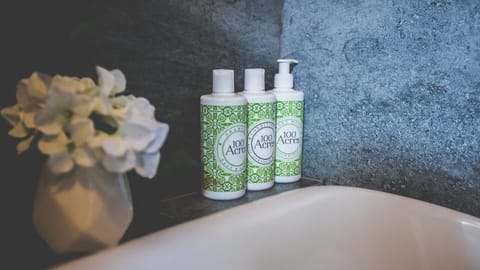 Combined shower/tub, free toiletries, hair dryer, towels