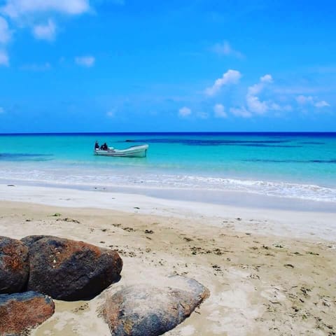 On the beach, snorkeling