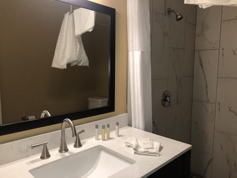 Deluxe Quadruple Room | Bathroom | Free toiletries, towels, soap, shampoo