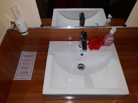 Deluxe Room, 1 Double Bed, Non Smoking | Bathroom sink