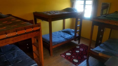 Shared Dormitory, Mixed Dorm (6 beds)