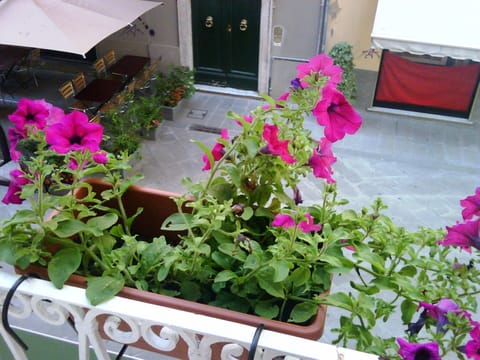 Classic Triple Room | View from room