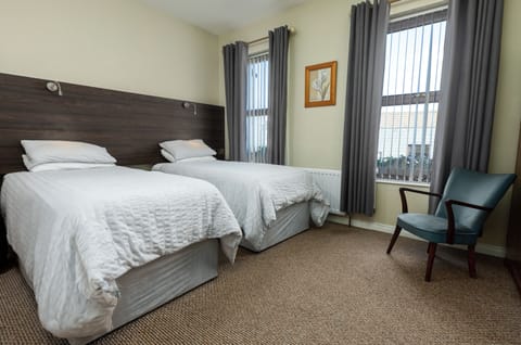 Standard Twin Room, 2 Twin Beds, Non Smoking | Desk, blackout drapes, iron/ironing board, free WiFi