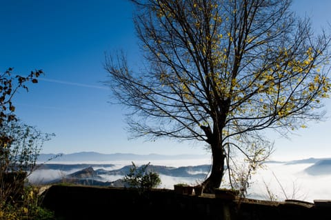 Traditional Apartment, 3 Bedrooms, Garden View, Ground Floor | View from room