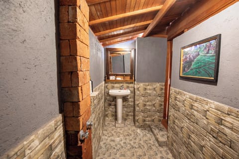 Superior Double Room | Bathroom | Shower, free toiletries, towels