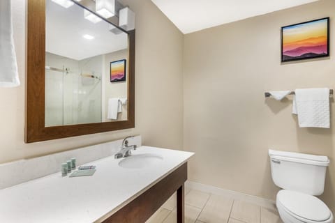 Combined shower/tub, rainfall showerhead, eco-friendly toiletries