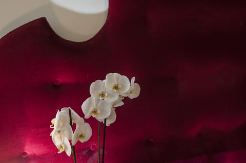 Deluxe Apartment, 3 Bedrooms | Room amenity