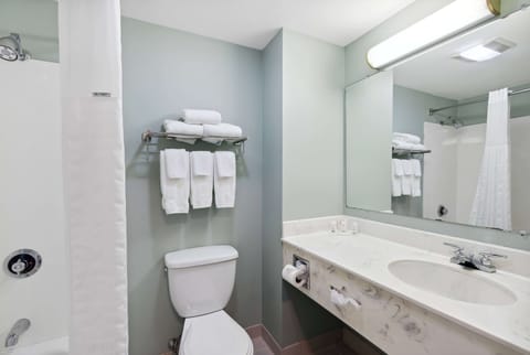 Combined shower/tub, free toiletries, hair dryer, towels