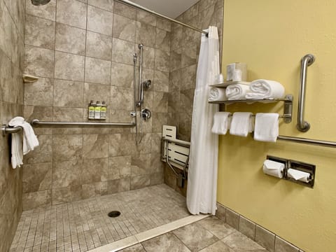 Room, 1 King Bed, Accessible (Roll-In Shower) | Bathroom | Combined shower/tub, free toiletries, hair dryer, towels