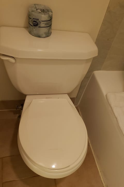 Combined shower/tub, free toiletries, hair dryer, towels