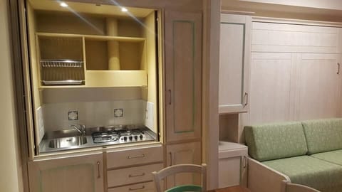 Apartment, 1 Bedroom, Patio | Private kitchen