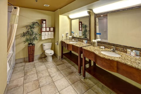 King Hospitality Suite with Stand Up Shower | Bathroom | Free toiletries, hair dryer, towels, soap