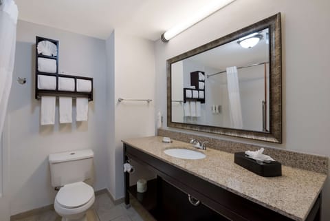 Two queen beds non smoking | Bathroom | Hair dryer, towels