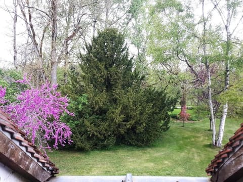 Comfort Double Room, Private Bathroom | Exterior