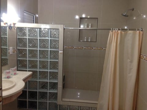 Deluxe Apartment, 2 Queen Beds, Non Smoking, City View | Bathroom shower