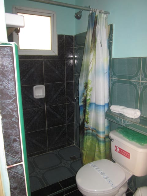 Basic Apartment, 1 Bedroom, Non Smoking, City View | Bathroom | Combined shower/tub, deep soaking tub, rainfall showerhead