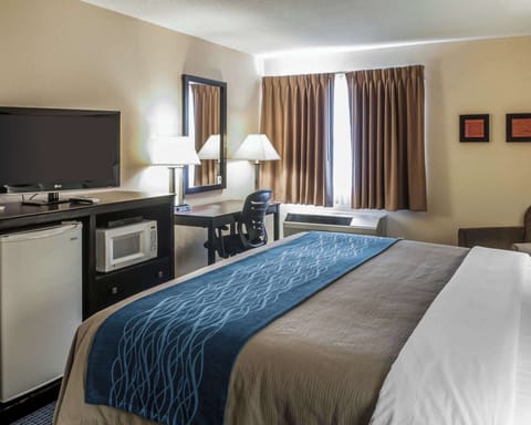 Standard Room, 1 King Bed, Non Smoking | Egyptian cotton sheets, premium bedding, down comforters, pillowtop beds