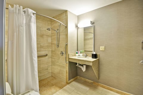 Standard Room, 1 King Bed, Accessible (Mobility, Roll-In Shower) | Bathroom | Combined shower/tub, free toiletries, hair dryer, towels