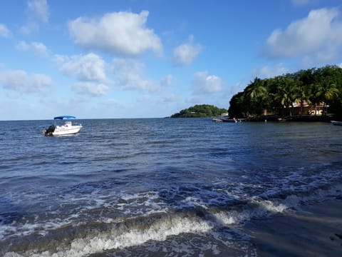 Beach shuttle