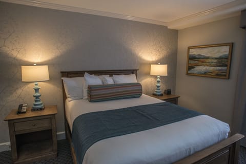 Standard Room, 1 Queen Bed | Hypo-allergenic bedding, in-room safe, iron/ironing board, free WiFi