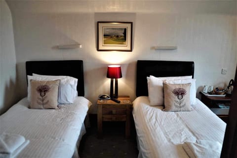 Twin Room (with Shower) | Desk, iron/ironing board, free WiFi, bed sheets