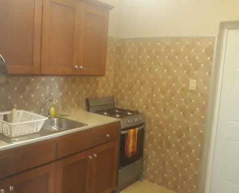 Standard Apartment, 1 Queen Bed | Private kitchen | Fridge, microwave, oven, dishwasher