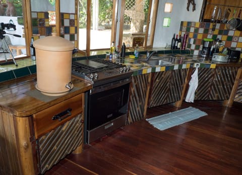 Deluxe Villa | Private kitchen | Fridge, microwave, stovetop, electric kettle