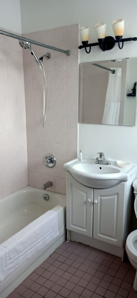 Comfort Room, 1 Queen Bed, Non Smoking | Bathroom | Combined shower/tub, hair dryer, bathrobes, bidet