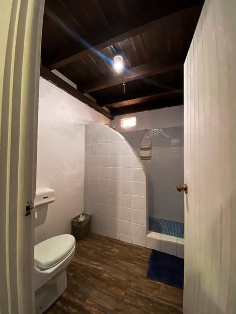 Family Bungalow, Non Smoking | Bathroom | Shower, rainfall showerhead, free toiletries