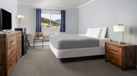 Basic Room, 1 King Bed, Non Smoking | In-room safe, blackout drapes, iron/ironing board, free WiFi