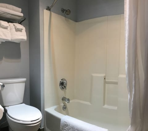 Combined shower/tub, free toiletries, hair dryer, towels