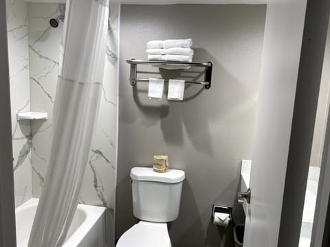 Standard Room, 1 King Bed, Accessible, Non Smoking | Bathroom | Combined shower/tub, hair dryer, towels