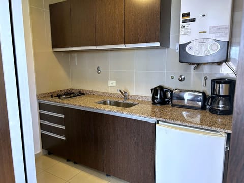 Premium Apartment | Private kitchen | Full-size fridge, microwave, coffee/tea maker, electric kettle