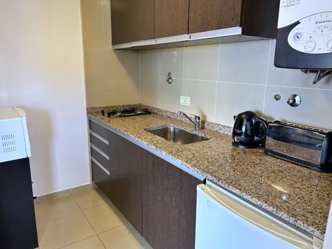 Premium Apartment | Private kitchen | Full-size fridge, microwave, coffee/tea maker, electric kettle