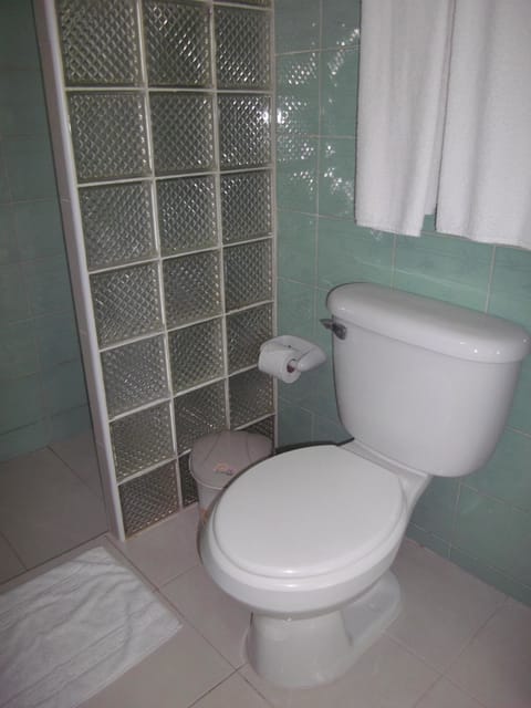 Standard Double Room, 1 Double Bed | Bathroom | Shower, towels