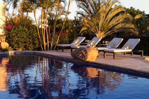 Outdoor pool, open 9:00 AM to 9:00 PM, pool umbrellas