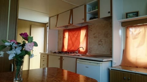 Economy Cabin | Private kitchen | Full-size fridge, microwave, stovetop, coffee/tea maker