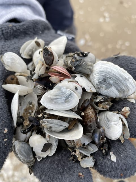 On the beach, white sand