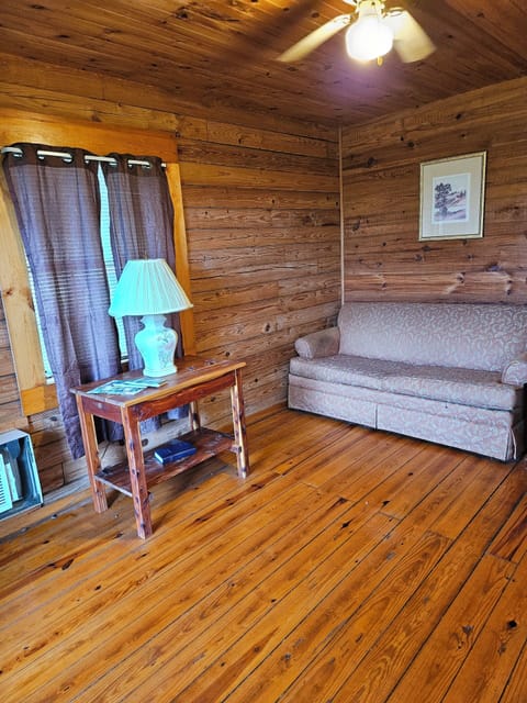 Basic Cabin | Living area | 32-inch flat-screen TV with satellite channels, TV