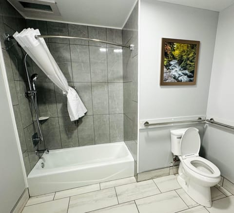 Combined shower/tub, free toiletries, hair dryer, towels