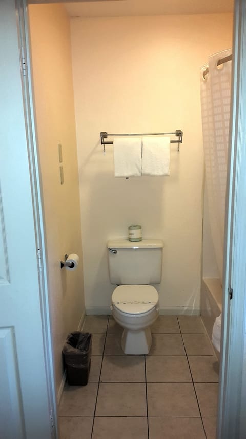 Combined shower/tub, hair dryer, towels