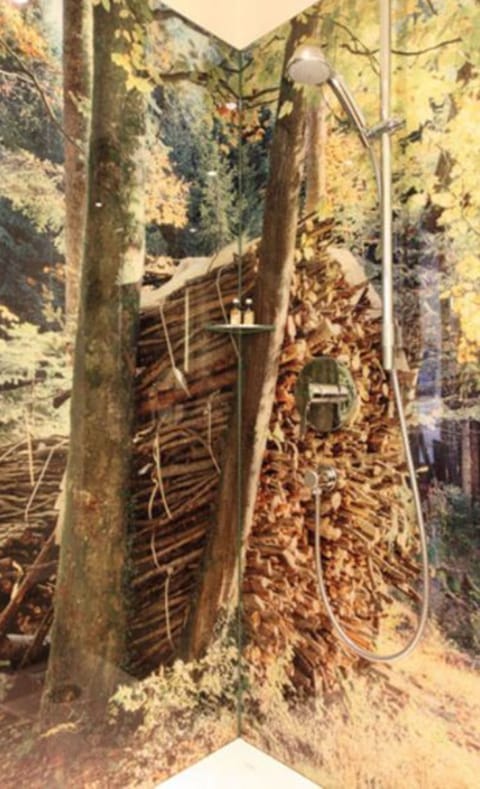 Shower, hair dryer, bathrobes, slippers