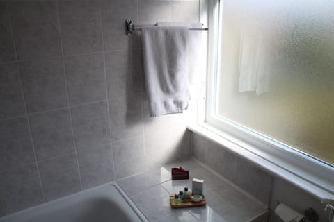 Family Room | Bathroom | Free toiletries, hair dryer, towels