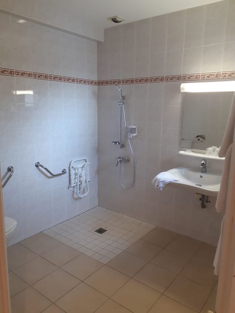 Comfort Triple Room | Bathroom | Shower, free toiletries, hair dryer, towels